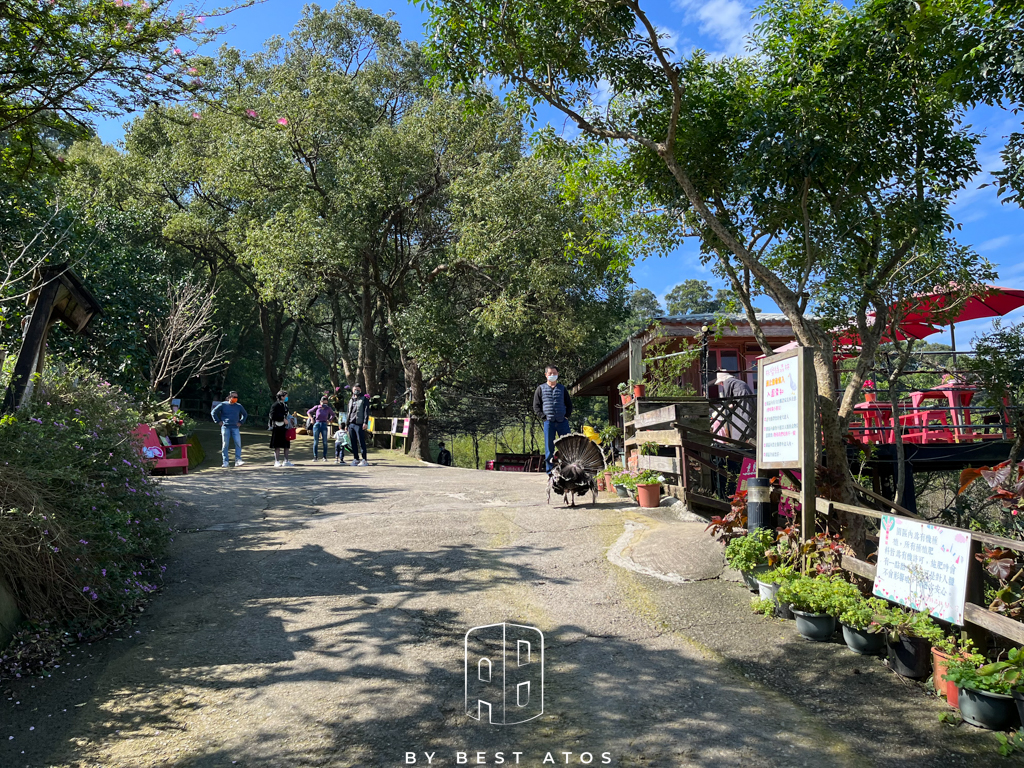 八里觀音山上的親子森林餐廳-桃樂絲柚香農場 桃樂絲柚香農場-入口