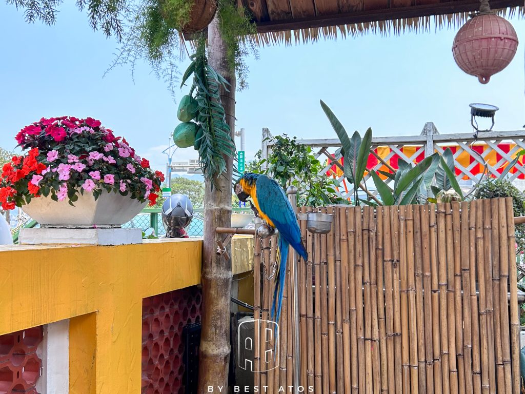 八里小島泰-親子友善泰式料理景觀餐廳 最好是 ATOS | 生活本來的樣子